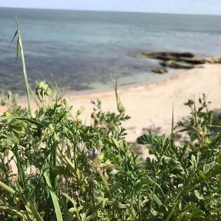 Апартаменты Black Sea Wellnest *