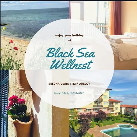 Апартаменты Black Sea Wellnest
