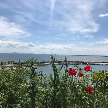 Black Sea Wellnest Апартаменты